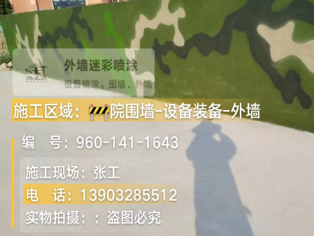 吕梁 迷彩漆喷涂价格（按平方米计费）